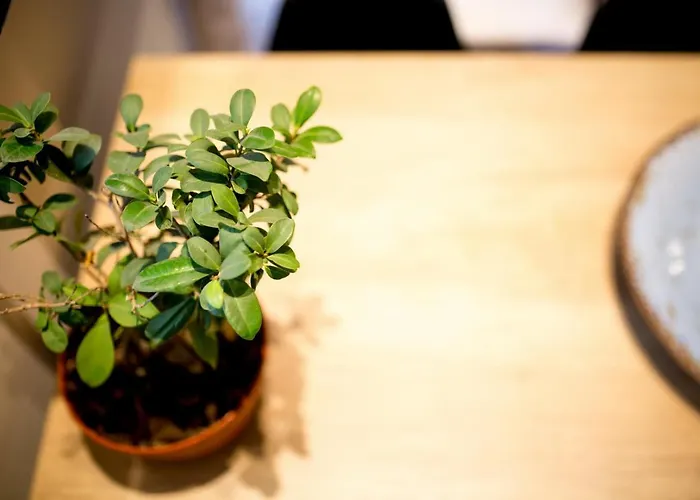 Thess Cozy Living Διαμέρισμα *