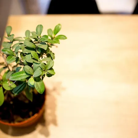 Thess Cozy Living Appartement *